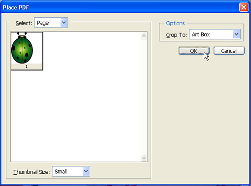 Place PDF dialog box